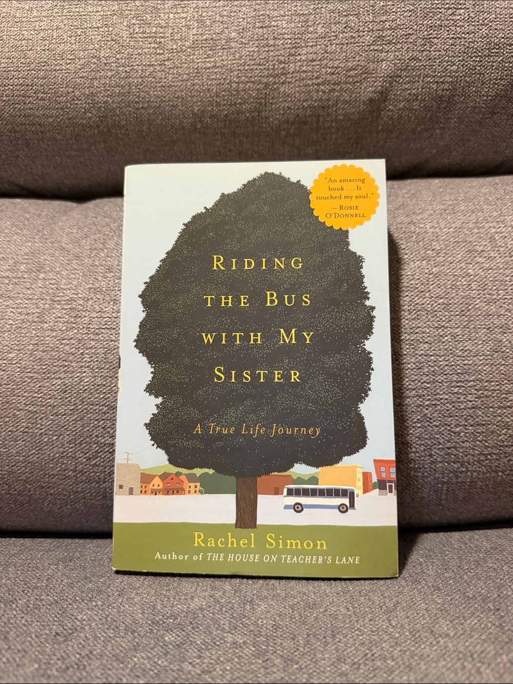 📚Riding The Bus With My Sister: A True Life Journey by Rachel Simon
